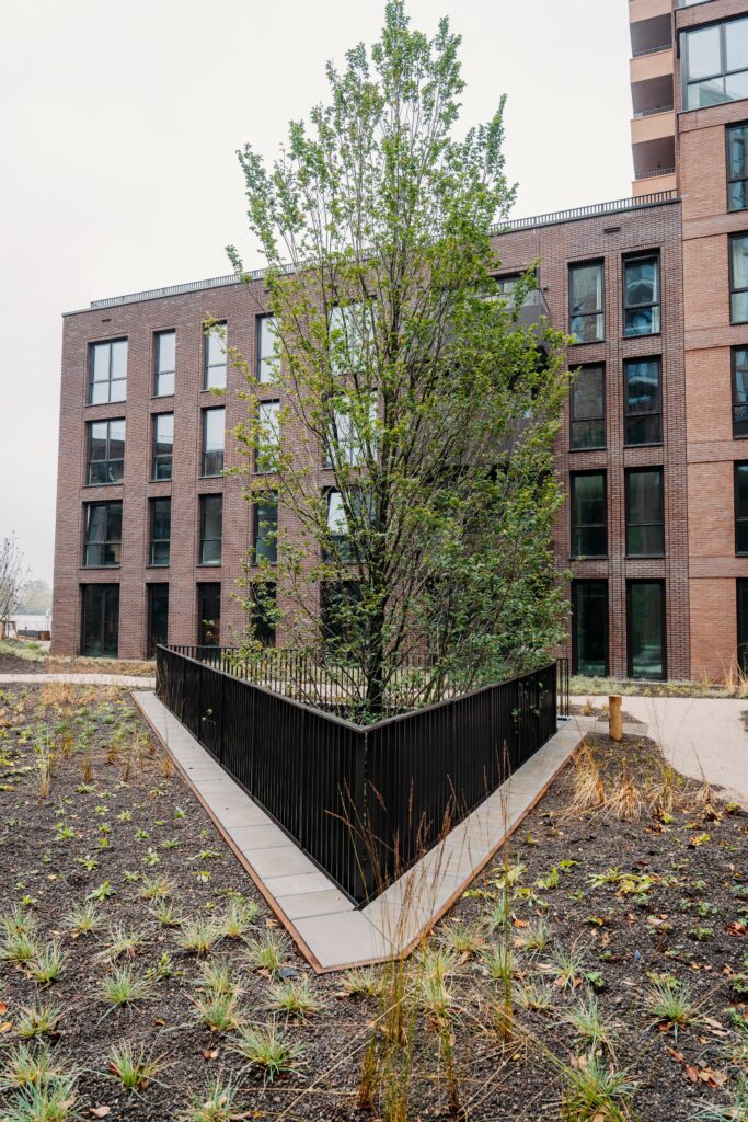 Binnentuin met boom vanuit de garage in project City West in Nieuwegein
