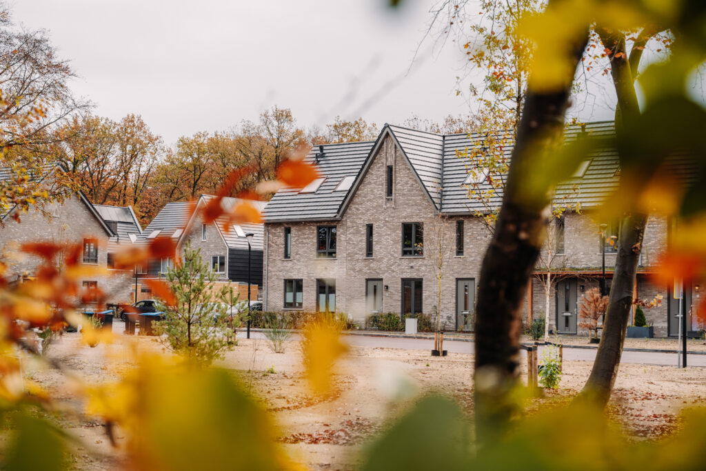 Het natuurinclusieve nieuwbouwproject De Meyster in Soesterberg gezien vanaf de net aangeplante 'boskamer'.