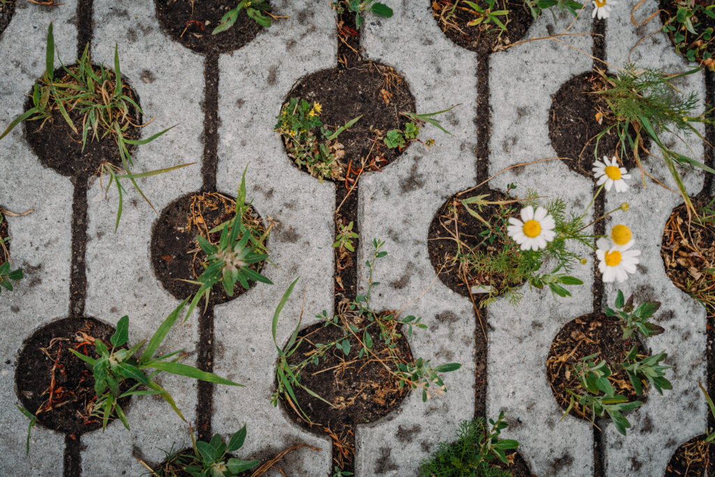 Grasstenen bij project Fier in Bunschoten Spakenburg KAN